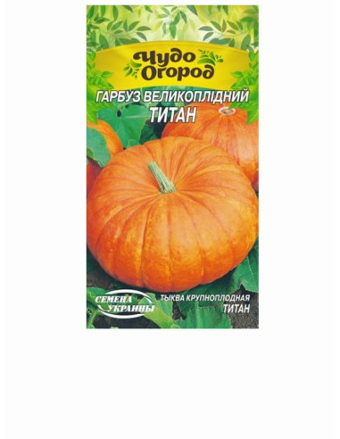 Насіння гарбуз сс 2г крупноплодний ТИТАН (уп10шт)