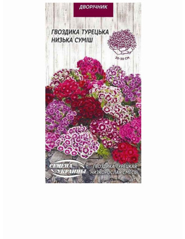 Насіння гвоздика 0,25г ОД Турецька низькоросла СУМІШ (уп10шт)
