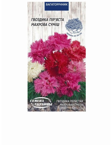 Насіння гвоздика 0,2г ОД Пір'яста Махрова СУМІШ (уп10шт)